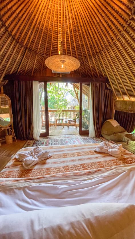 Alpaca Lodge
