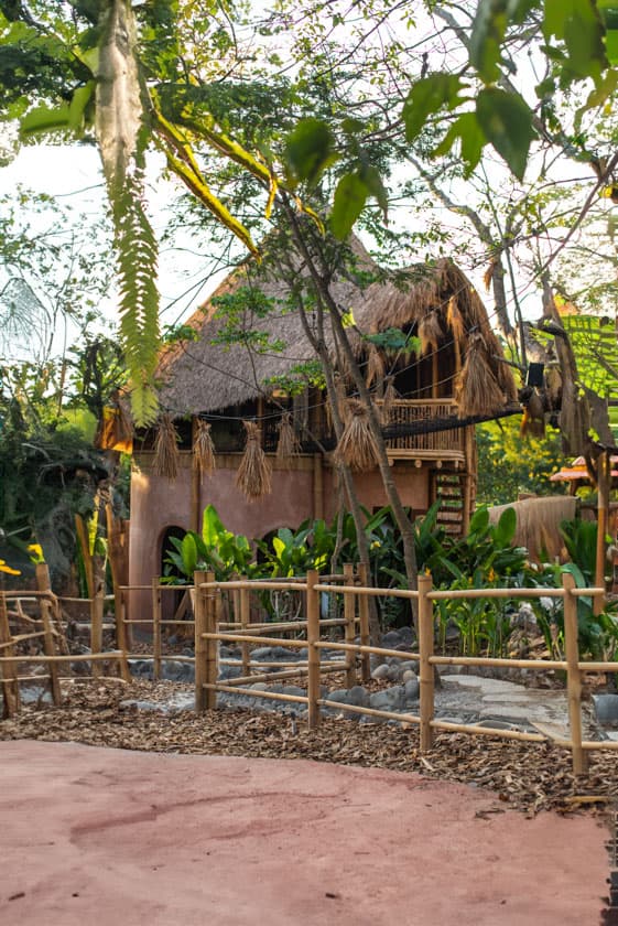 Alpaca Lodge