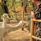 Thumbnail for Your Experience Await