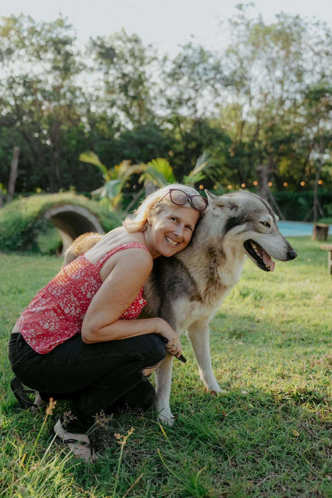 Alpha Wolf - image 4